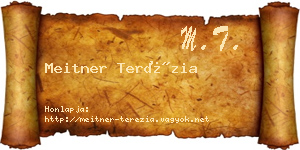 Meitner Terézia névjegykártya